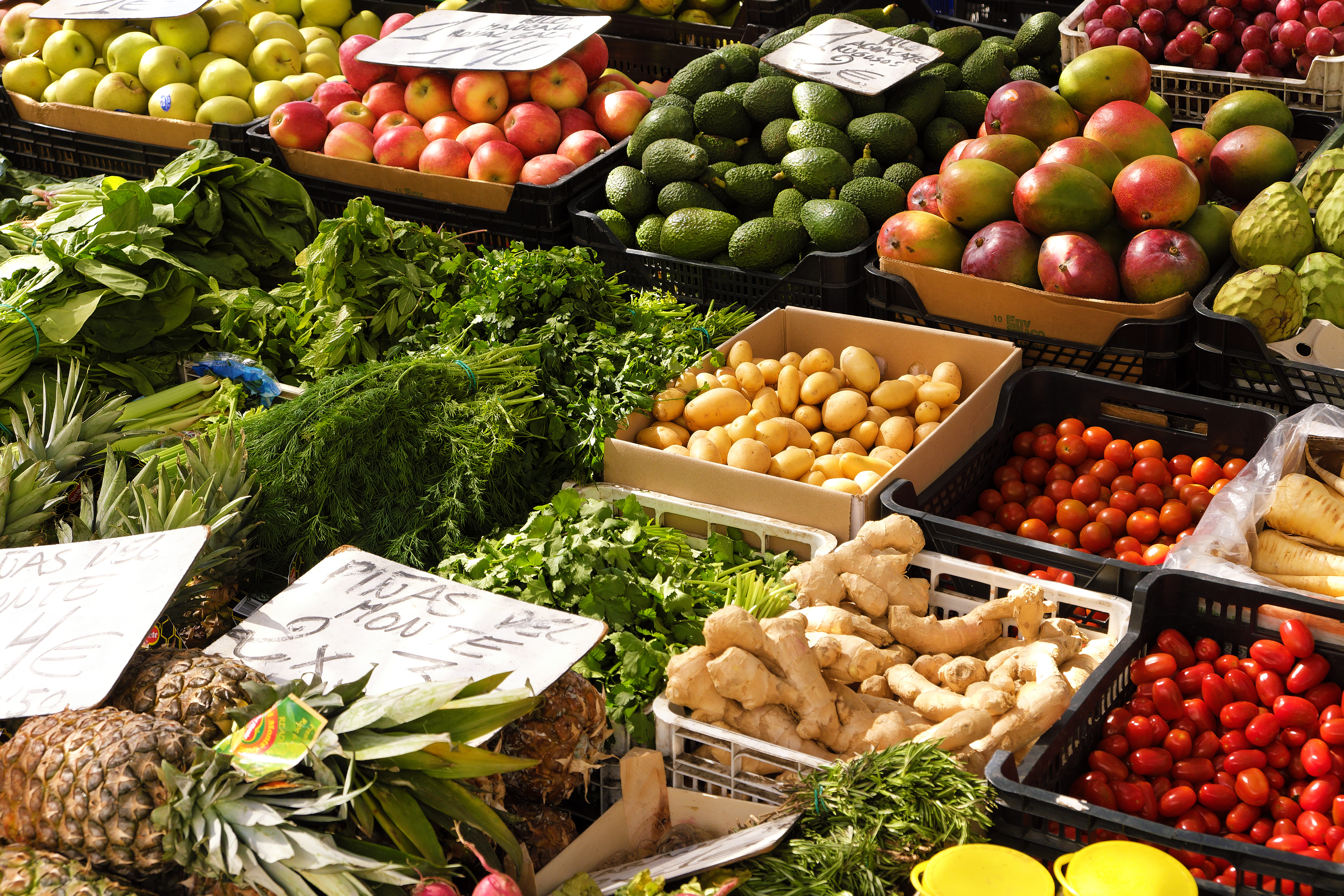 Food Supply & Logistics
